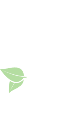 leaves illustration vector